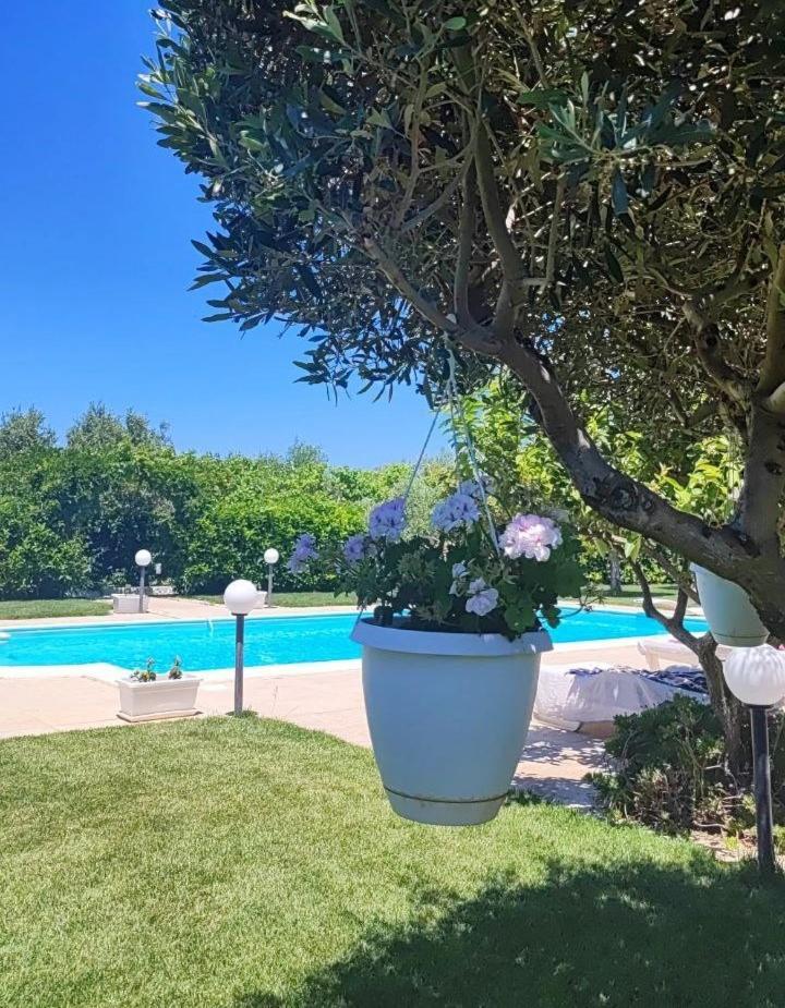 B&B Villa Antonella Piazza Armerina Esterno foto